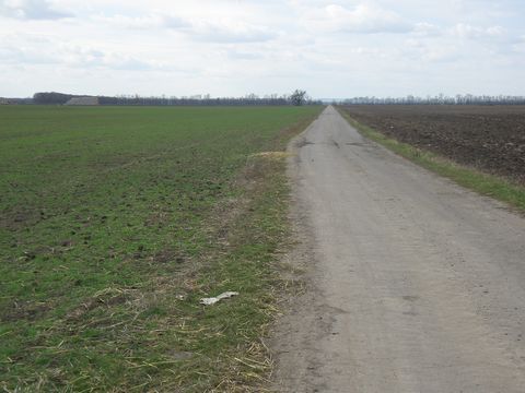 Foto 59